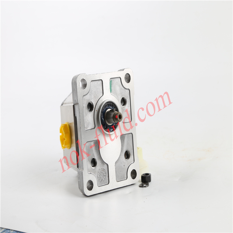 Danfoss Gear Pump SNP1NN/2.6RN01BAP1F3F3NNNN/NNNNN