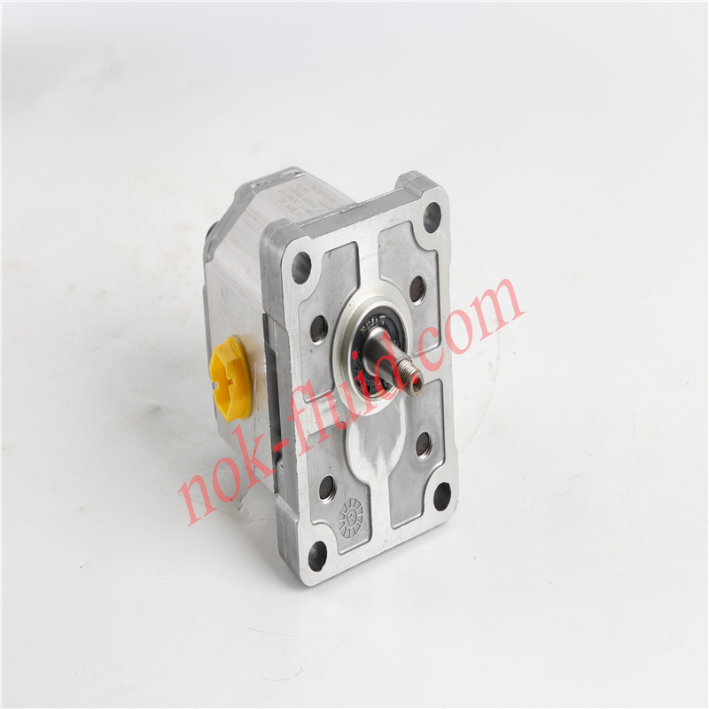 Danfoss Gear Pump SNP1NN/2.2RN01BAP1F3F3NNNN/NNNNN