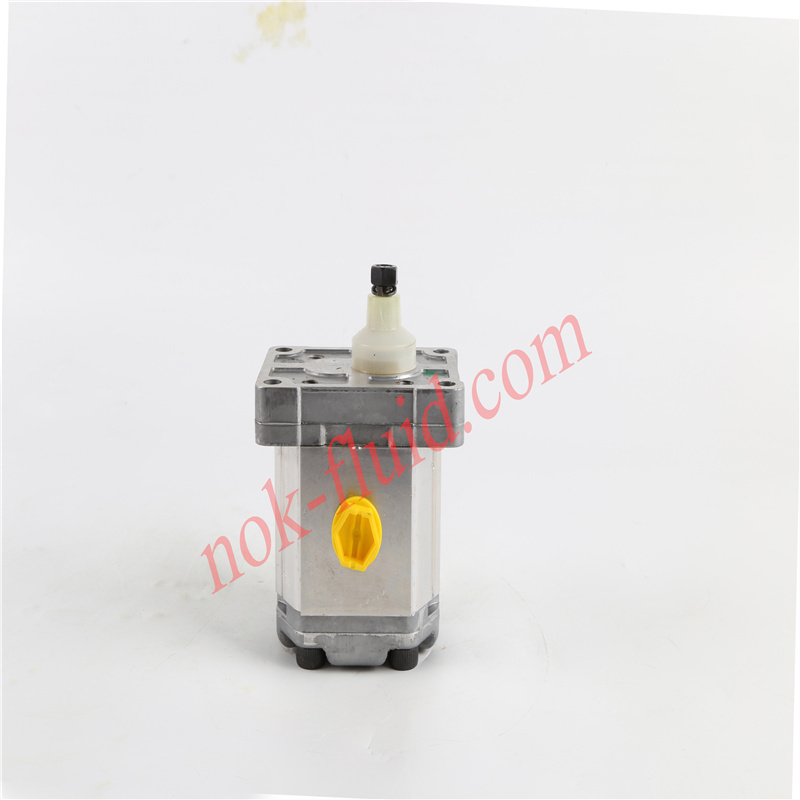 Danfoss Gear Pump SNP1NN/2.6RN01BAP1F3F3NNNN/NNNNN