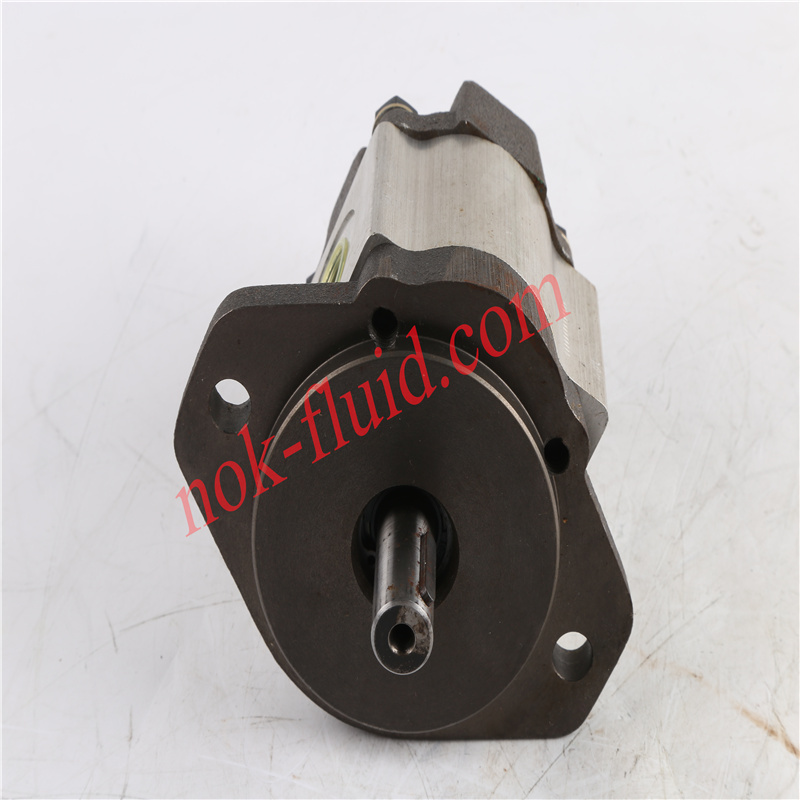 Parker Gear Motor 3319219028 PGM505A0050BK1H2NE3E3B1B1G4