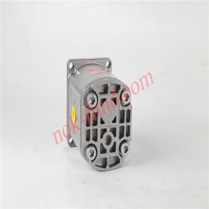 HPI GEAR PUMP P1BAN2030BL10B02N C5095490