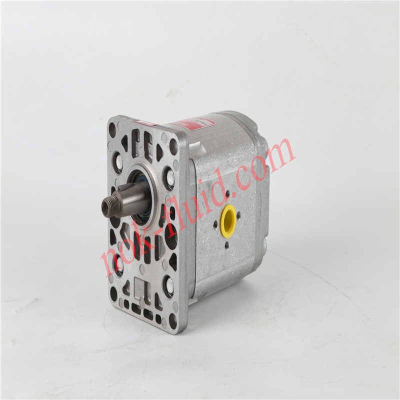HPI GEAR PUMP P1BAN2030BL10B02N C5095490