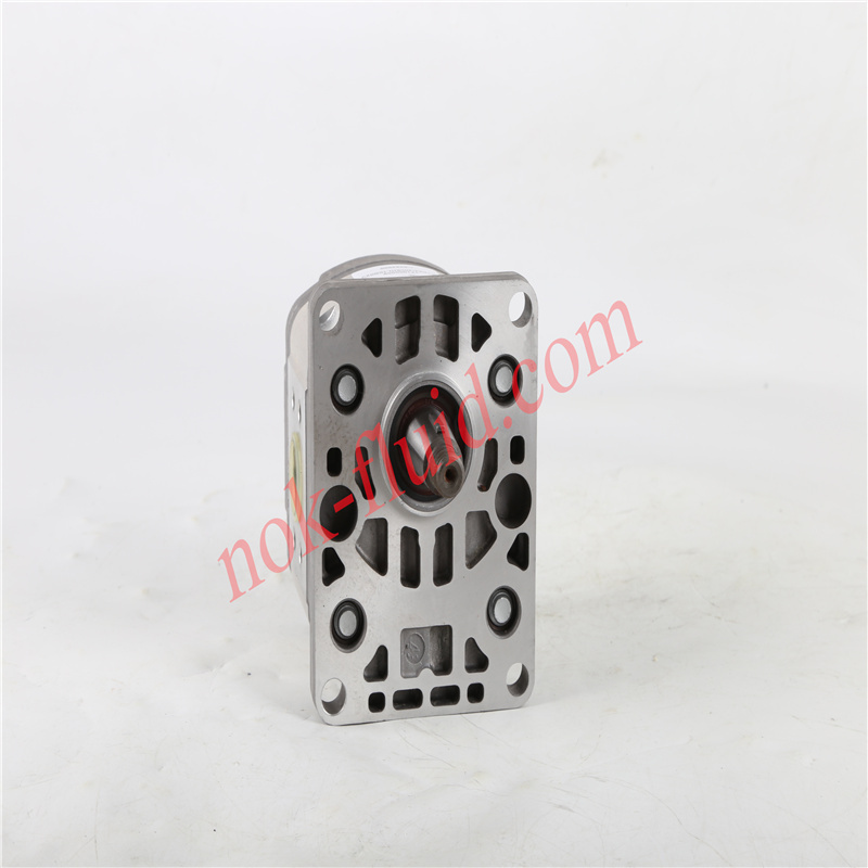 HPI GEAR PUMP  P1BAN2008HL10B02V C5083900