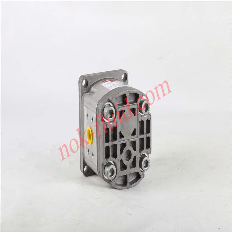HPI GEAR PUMP  P1BAN2008HL10B02V C5083900