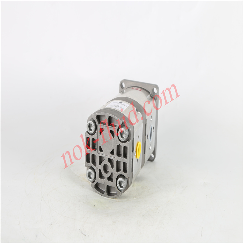 HPI GEAR PUMP P1BAN2015BA2004BL10B02N C5094531