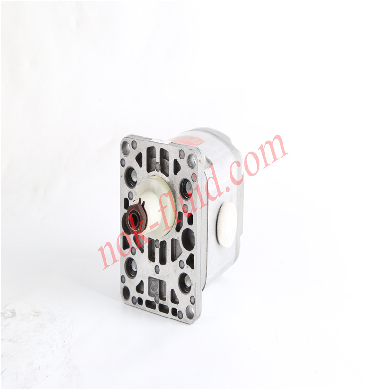 HPI GEAR PUMP P1BAN2015FL10B02N C5081541