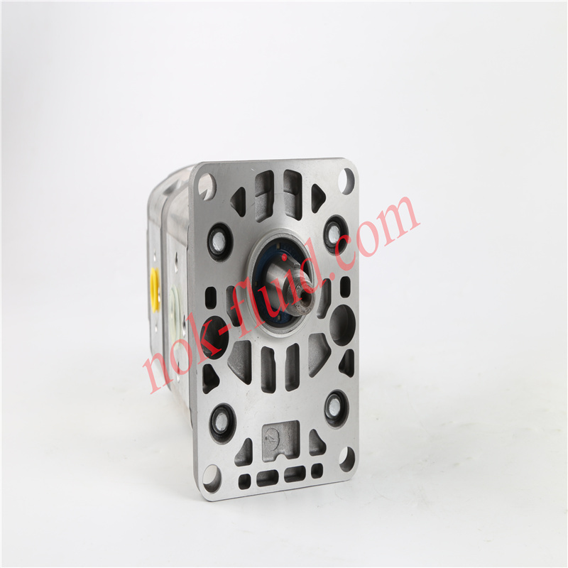HPI GEAR PUMP P1BAN2014BA2004BL10B02N C5098720