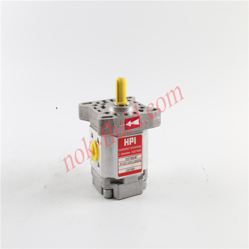 HPI GEAR PUMP P1CBN1003CL20C01N C5071981