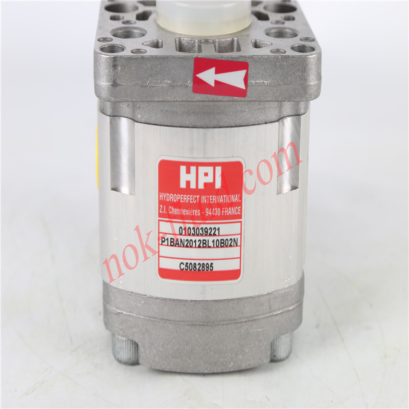 HPI GEAR PUMP  P1BAN2012BL10B02N C5082895