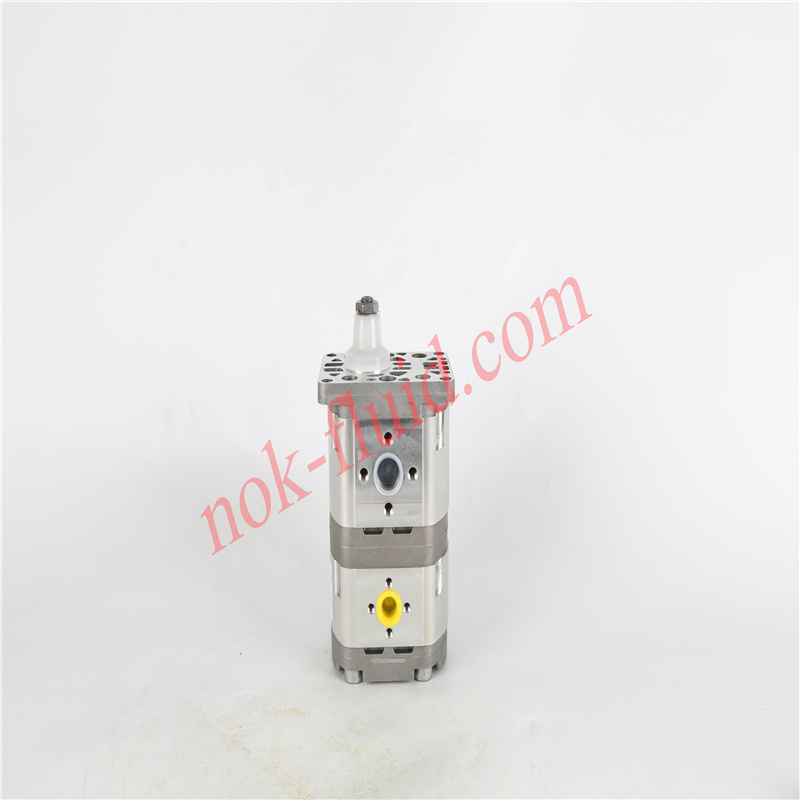 HPI GEAR PUMP P1BAN2015BA2004BL10B02N C5094531