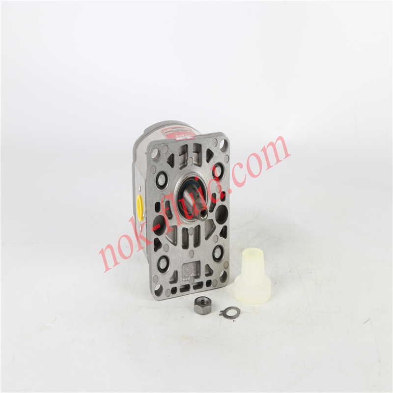HPI GEAR PUMP  P1BAN2012BL10B02N C5082895
