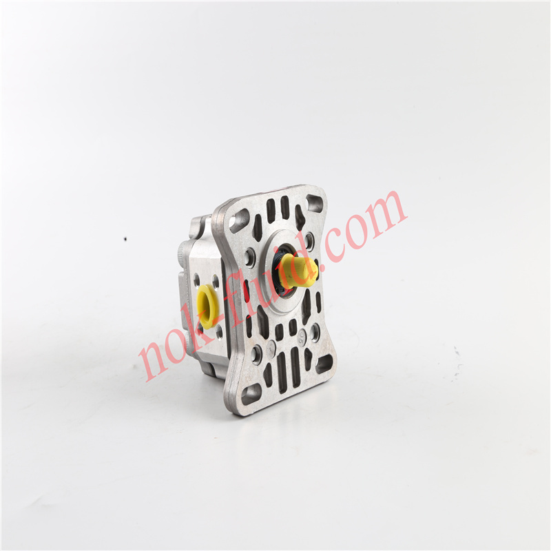 HPI GEAR PUMP P1CBN1003CL20C01N C5071981