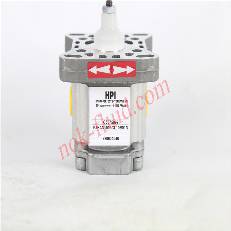 HPI GEAR PUMP P3BAN1003CL10B01N C5075099