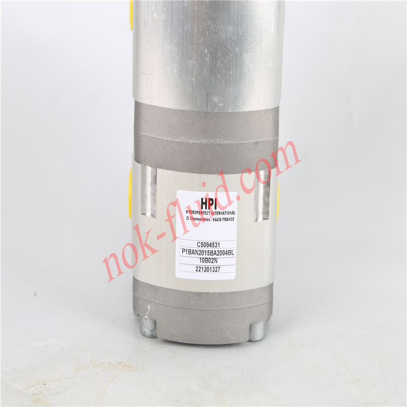 HPI GEAR PUMP P1BAN2015BA2004BL10B02N C5094531