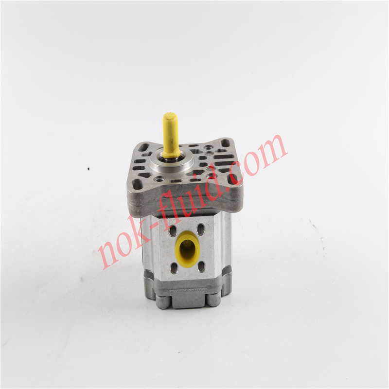HPI GEAR PUMP P1CBN1003CL20C01N C5071981