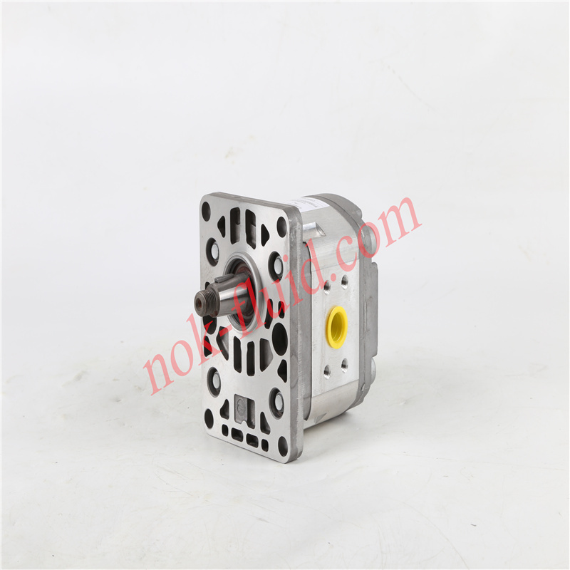 HPI GEAR PUMP  P1BAN2008HL10B02V C5083900