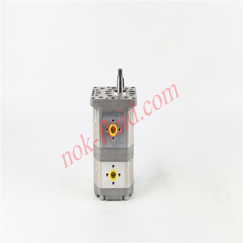 HPI GEAR PUMP P1BAN2014BA2004BL10B02N C5098720