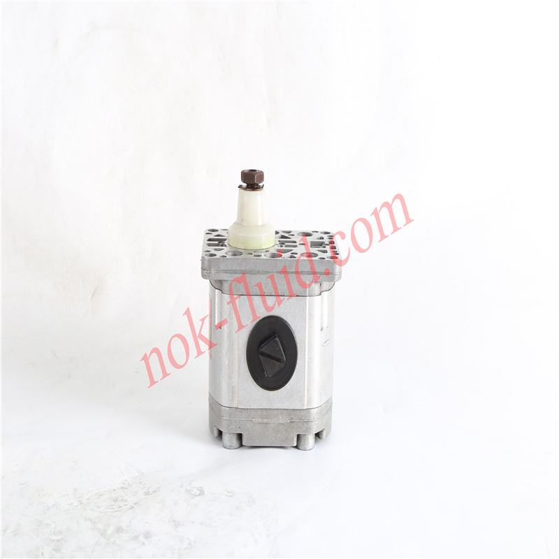 HPI GEAR PUMP P1BAN2015FL10B02N C5081541