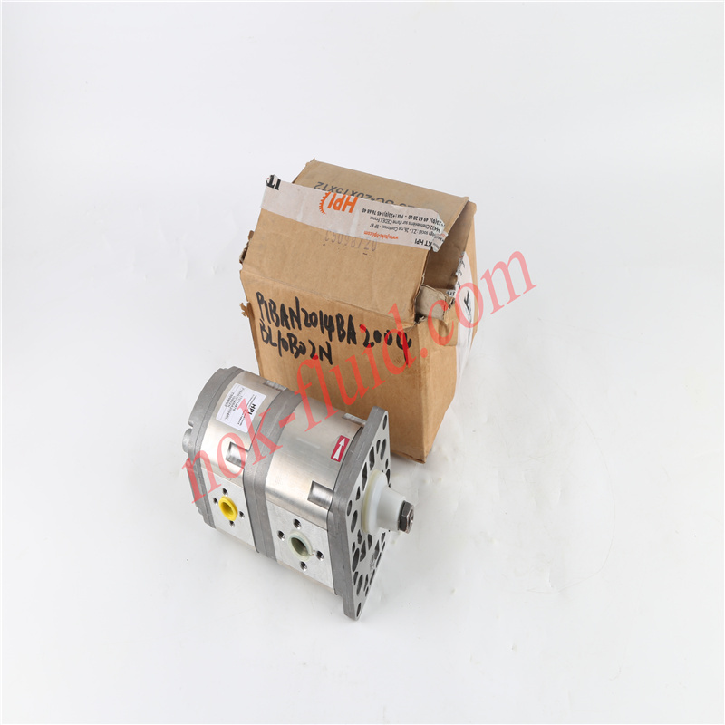 HPI GEAR PUMP P1BAN2014BA2004BL10B02N C5098720