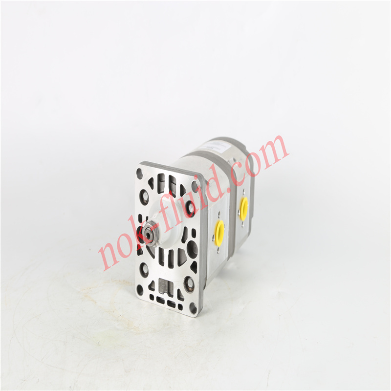 HPI GEAR PUMP P1BAN2015BA2004BL10B02N C5094531