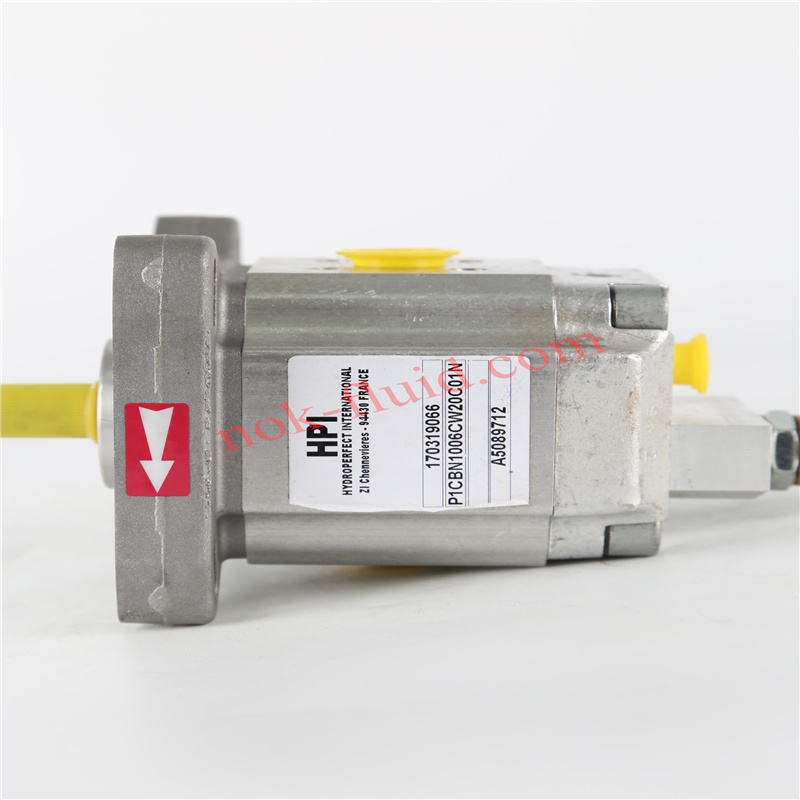 HPI GEAR PUMP P1CBN1006CW20C01N C5089712