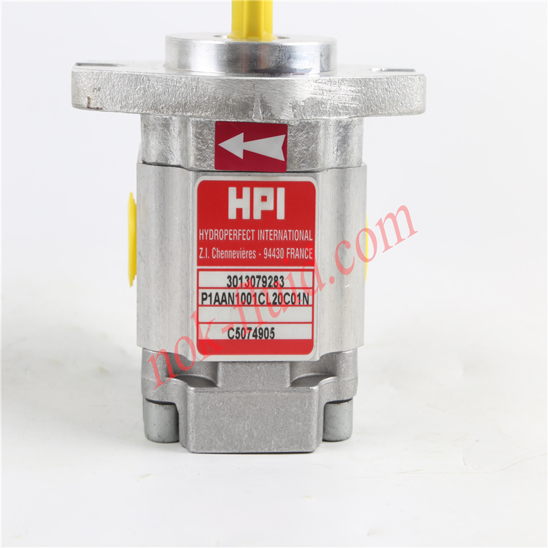 HPI GEAR PUMP  P1AAN1001CL20C01N C5074905