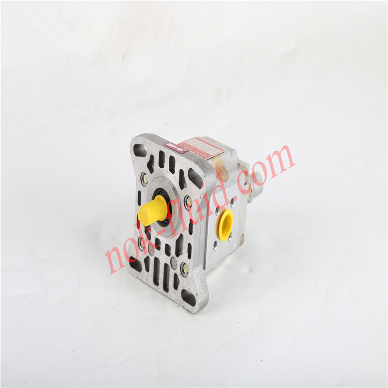 HPI GEAR PUMP P1CBN1006CT20C01N