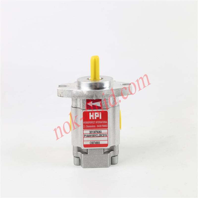 HPI GEAR PUMP  P1AAN1001CL20C01N C5074905