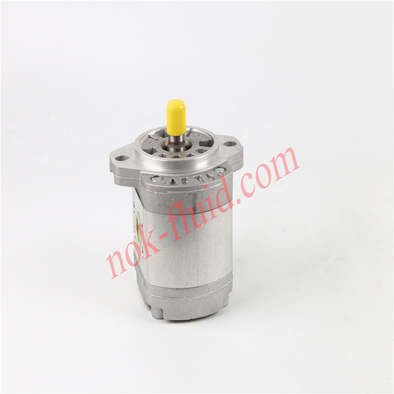 HPI GEAR PUMP  P1AAN2004YL20A01N C5075498
