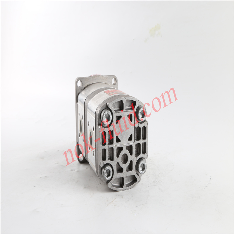 HPI GEAR PUMP P2DBN2008CD2008CL10C02V A5071494