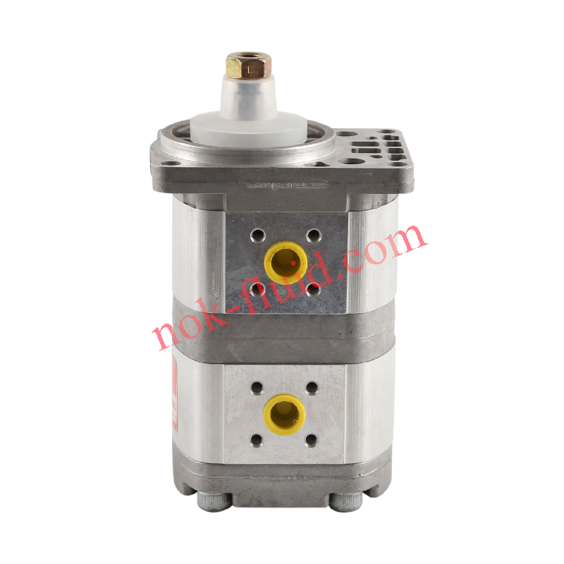 HPI GEAR PUMP P2DBN2008CD2008CL10C02V A5071494