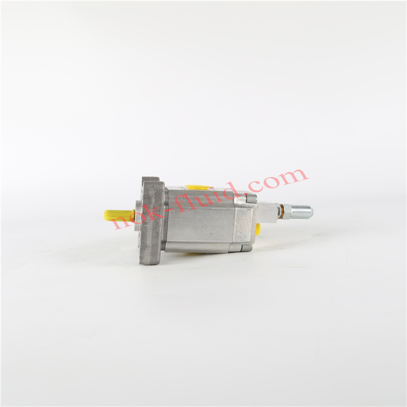 HPI GEAR PUMP P1CBN1006CW20C01N C5089712