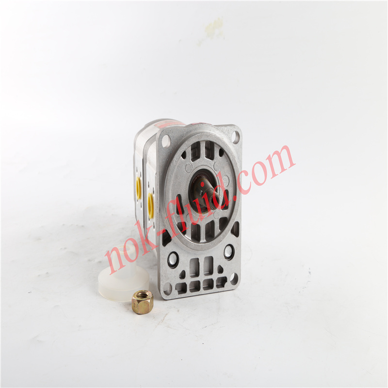 HPI GEAR PUMP P2DBN2008CD2008CL10C02V A5071494