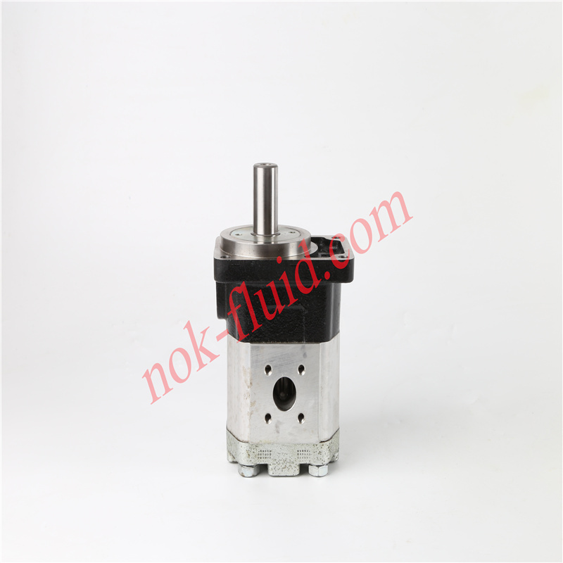 BUCHER Gear Pump AP212/11D220 200102420201