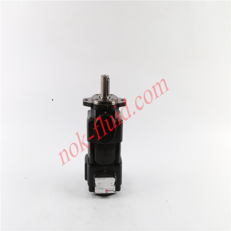 BUCHER Gear Pump QX33-010R12