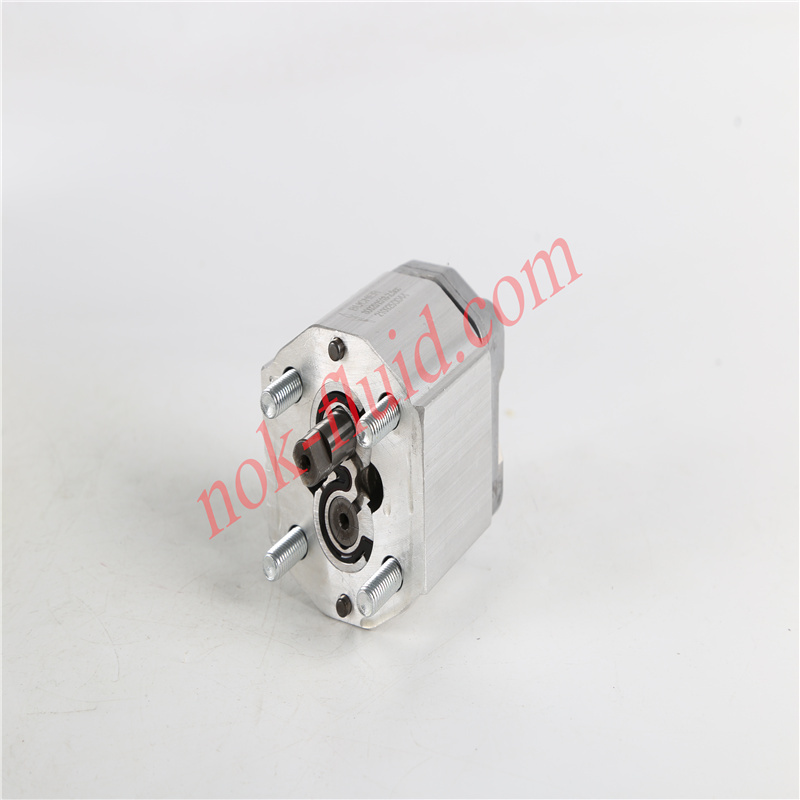 BUCHER Gear Pump  800201518 AP100/2.5