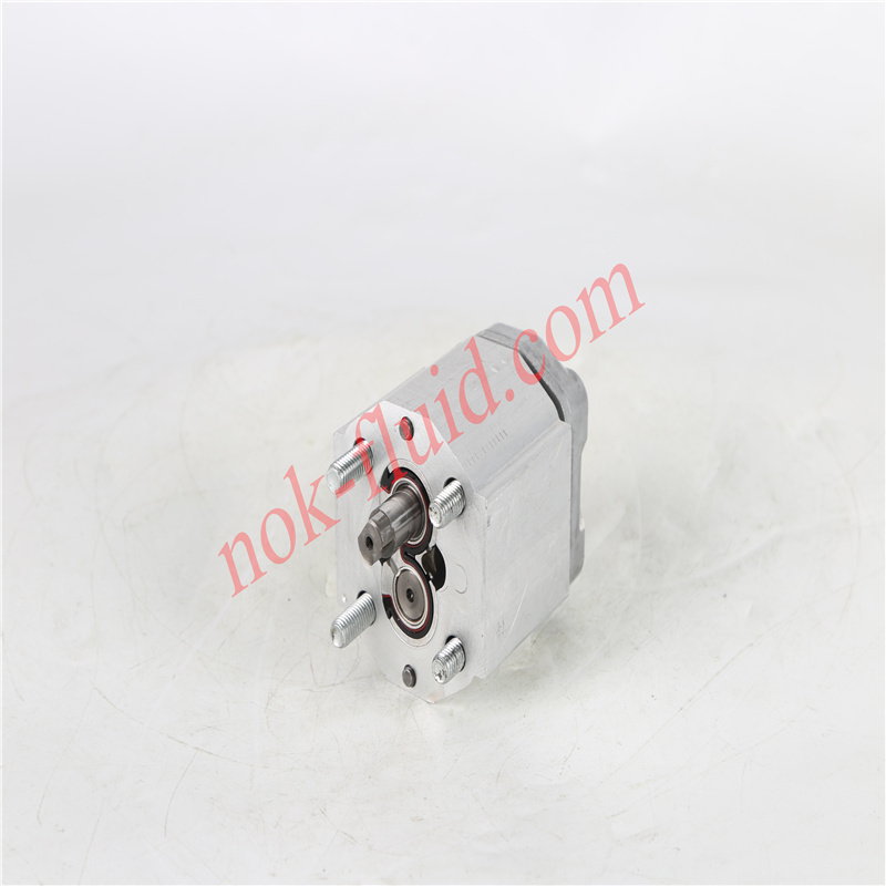 BUCHER Gear Pump  AP100 3.5S309 (200748240240)