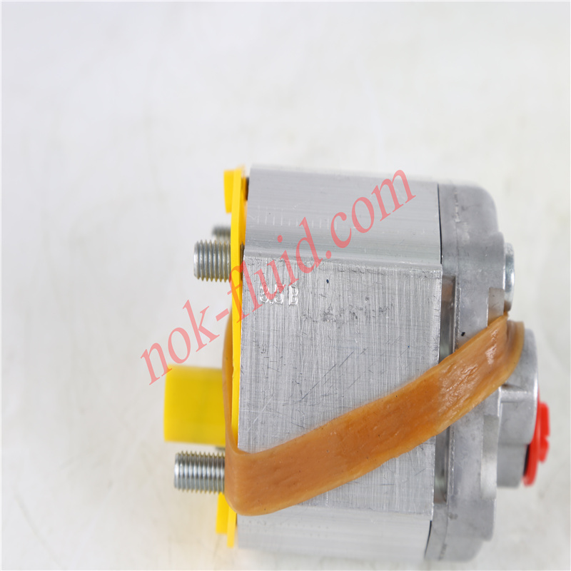 BUCHER Gear Pump  AP100 3.5S309 (200748240240)