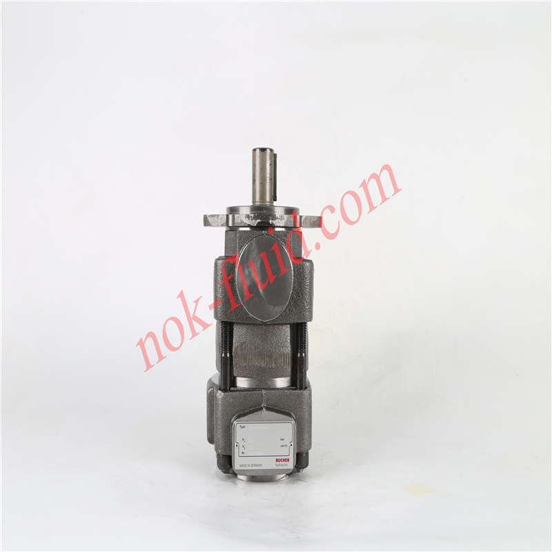BUCHER Gear Pump QX33-016R09