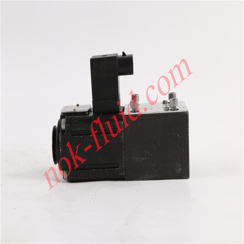 ATOS VALVE RZMO-P1-010/315 20