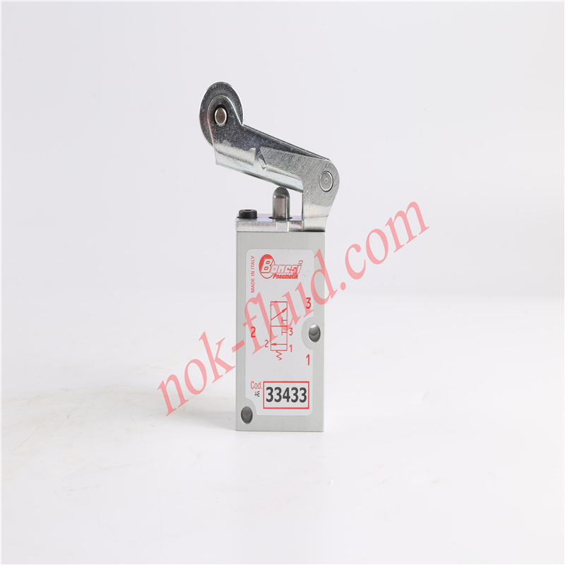 BONESI VALVE  33433