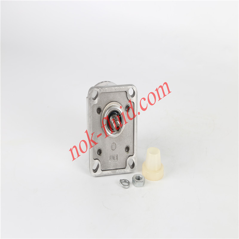 CASAPPA GEAR PUMP PLP10.2.5S0-29E7-LGC/GC-N-EL-HAW