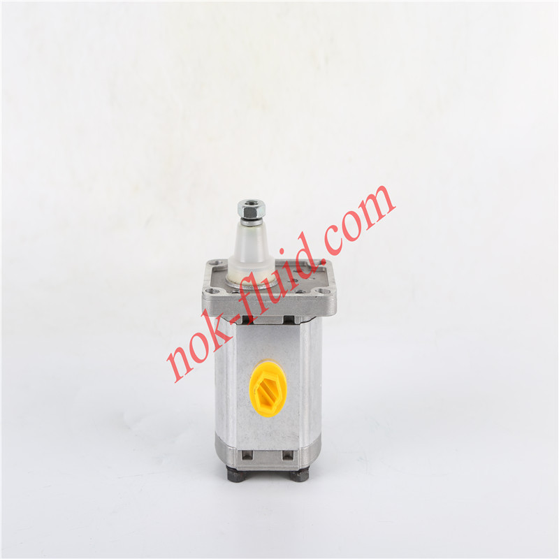 CASAPPA GEAR PUMP PLP10.8S0-29E7-LGC/GC-N-EL-HAWE 00375089