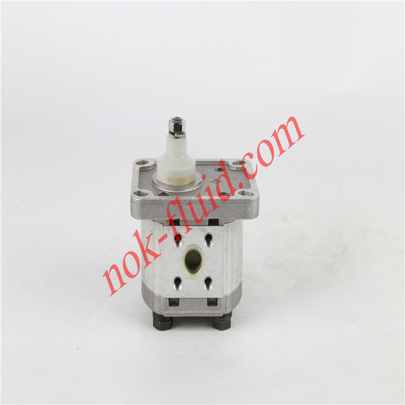 CASAPPA GEAR PUMP PLP10.1D0-81E1-LBB/BA-N-EL-FS 00372852