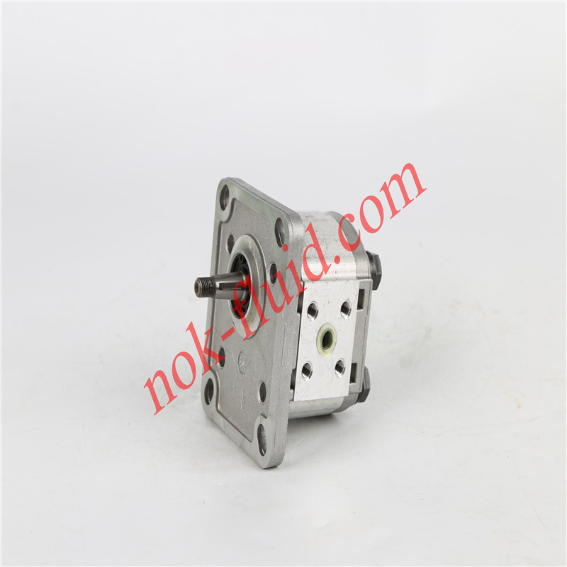 CASAPPA GEAR PUMP PLP10.1D0-81E1-LBB/BA-N-EL-FS 00372852
