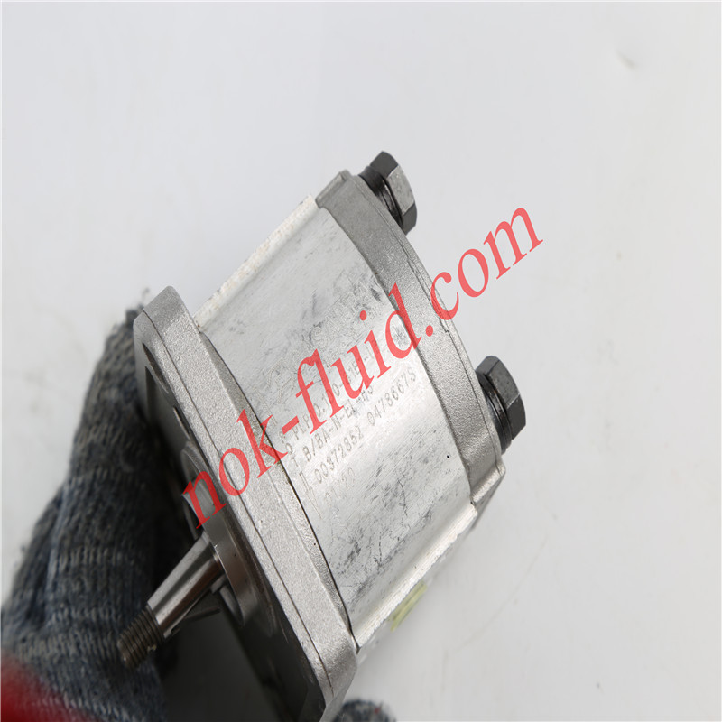 CASAPPA GEAR PUMP PLP10.1D0-81E1-LBB/BA-N-EL-FS 00372852