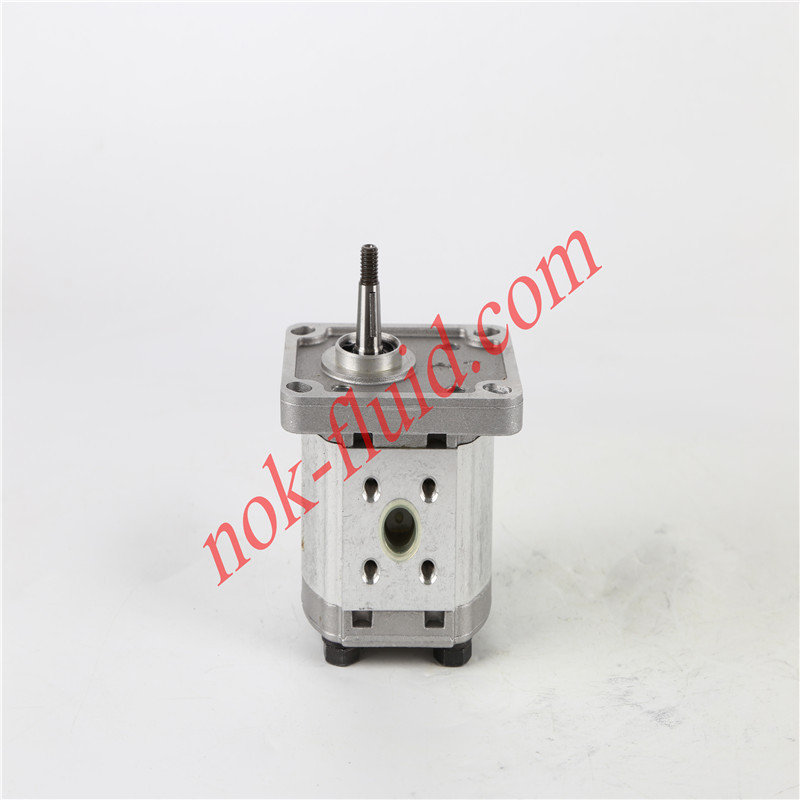 CASAPPA GEAR PUMP PLP10.3.15D0-81E1-LBB/BA-N-EL-FS 00372856