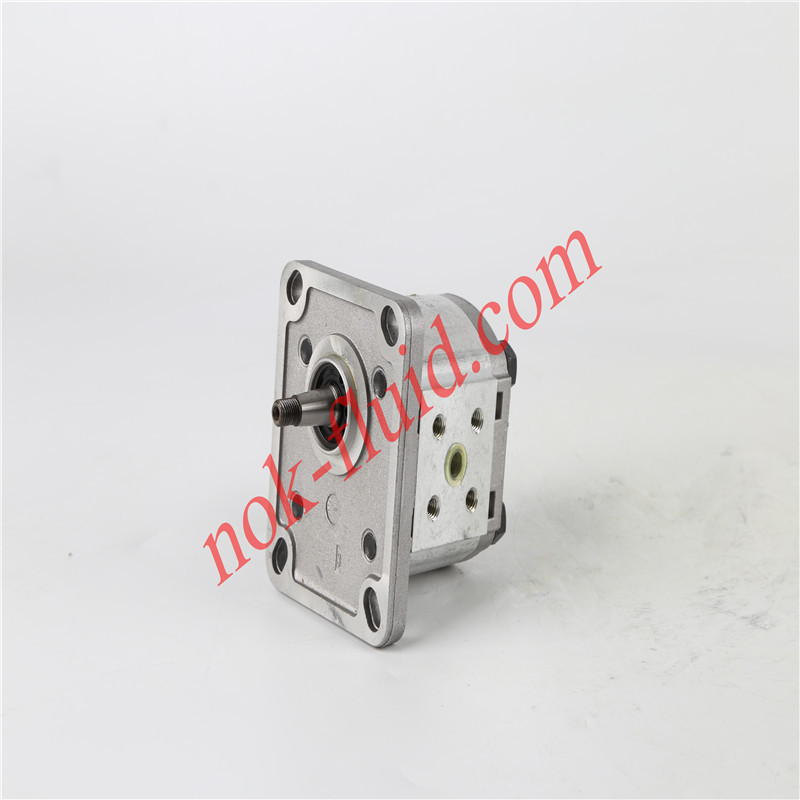 CASAPPA GEAR PUMP PLP10.3.15D0-81E1-LBB/BA-N-EL-FS 00372856