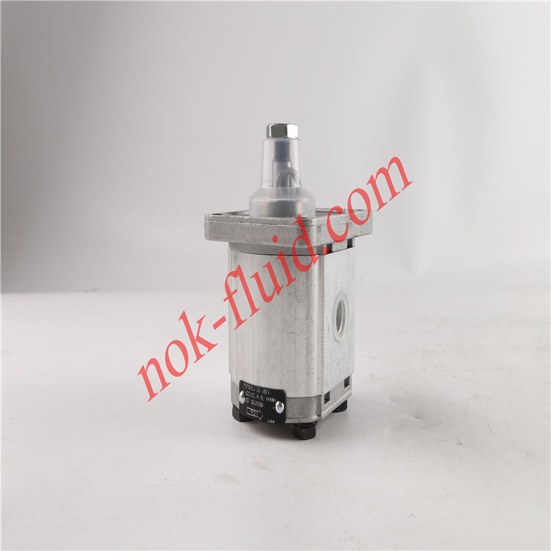 CASAPPA GEAR PUMP  PLP10.6.3S0-29E7-LGC/GC-N-EL-HAW 00375091