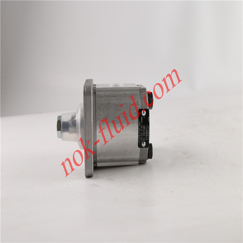 CASAPPA GEAR PUMP  PLP10.6.3S0-29E7-LGC/GC-N-EL-HAW 00375091